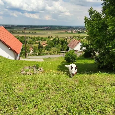 Feriehus Vulcan Wine Moscato *