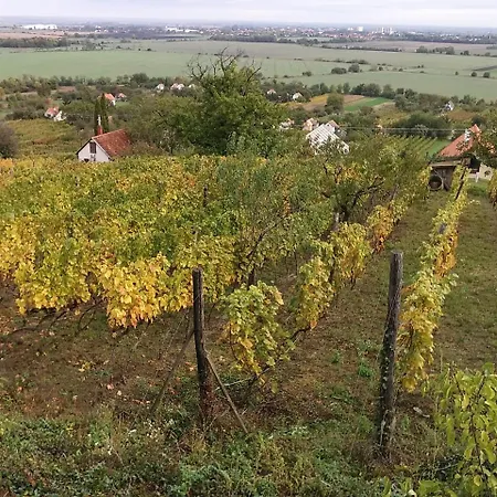 Vulcan Wine Moscato *